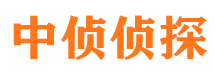 文登私家侦探公司